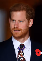 Prince Harry filmleri